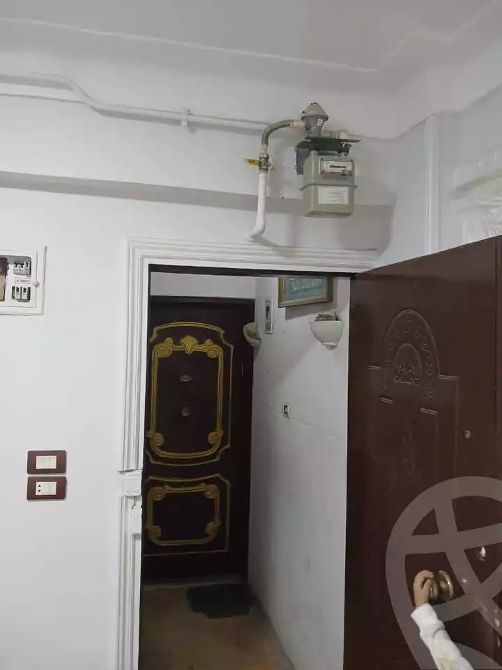 https://aqarmap.com.eg/en/listing/5852962-for-rent-alexandria-l-jmy-lbytsh-al-samalehy-1-st