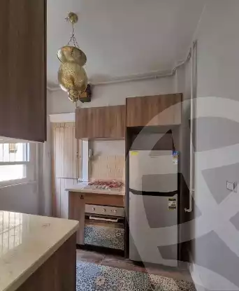 https://aqarmap.com.eg/en/listing/5858115-for-rent-cairo-el-agouza
