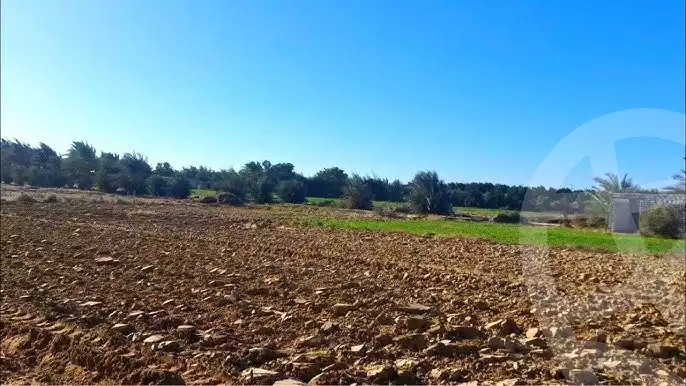 https://aqarmap.com.eg/en/listing/5858179-for-sale-alexandria-el-amreya