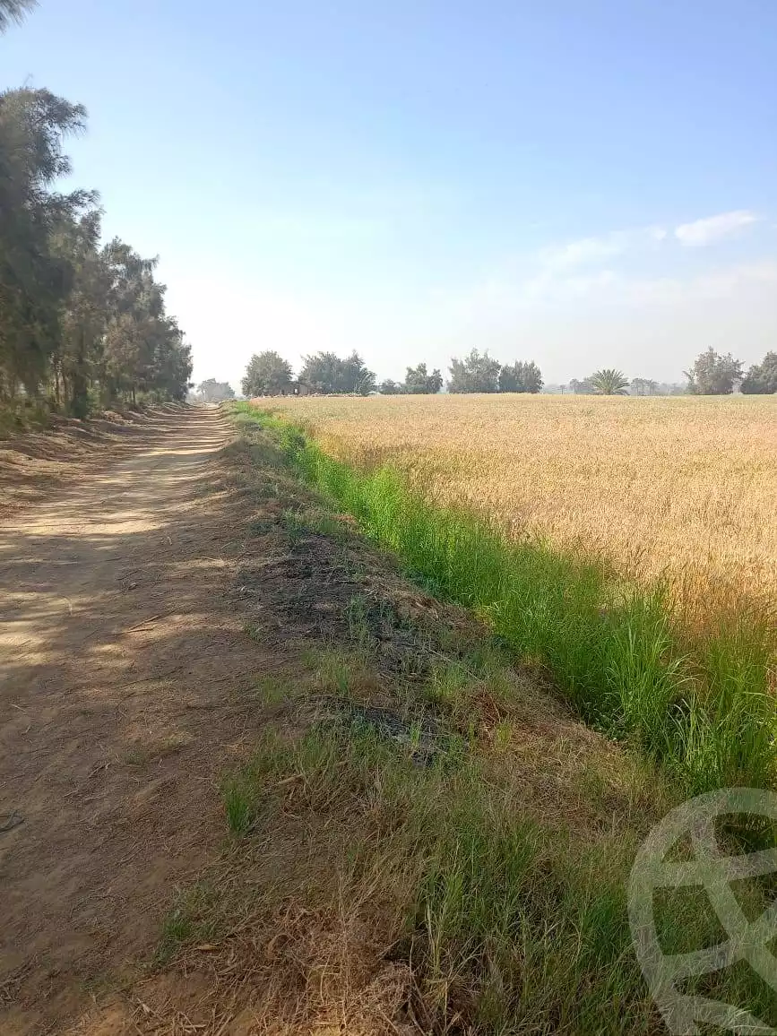 https://aqarmap.com.eg/en/listing/5858205-for-sale-el-fayoum-tamiya-kom-ushaim