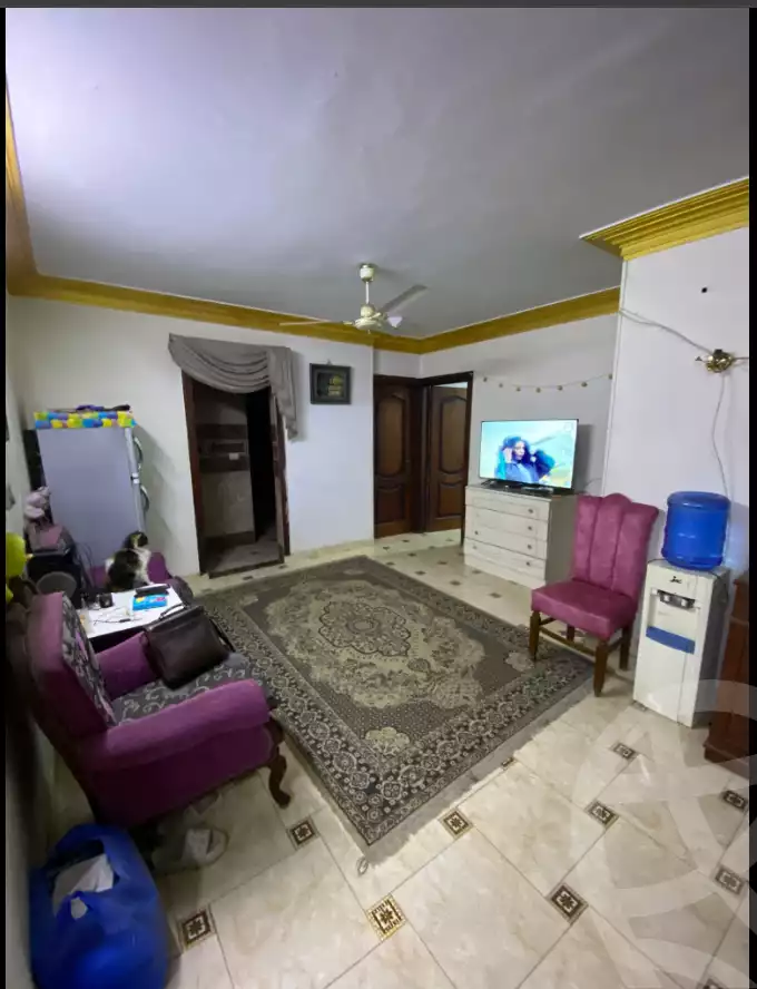 https://aqarmap.com.eg/en/listing/5858656-for-rent-cairo-ain-shams-ahmed-esmat-st