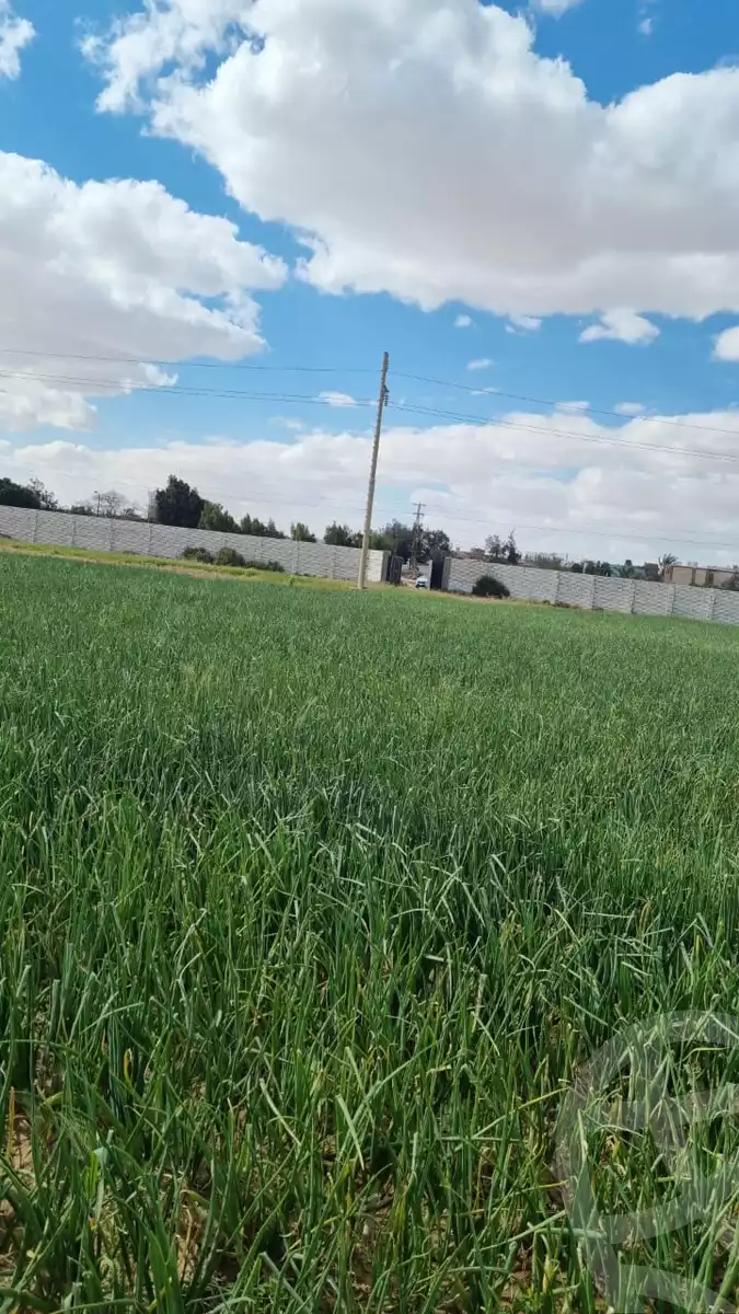 https://aqarmap.com.eg/en/listing/5855933-for-sale-beni-suef-el-fashn-el-fashn-city