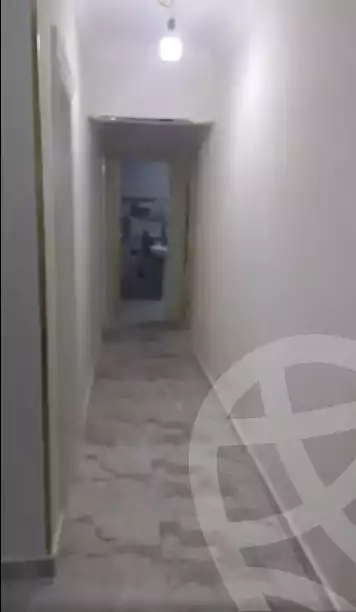 https://aqarmap.com.eg/en/listing/5863035-for-rent-cairo-ain-shams-ahmed-esmat-st