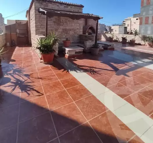 https://aqarmap.com.eg/ar/listing/5865451-for-sale-alexandria-l-jmy-lbytsh-bianchiii-el-bashwat-st