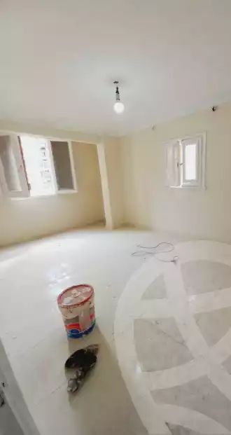 https://aqarmap.com.eg/ar/listing/5866307-for-sale-alexandria-l-jmy-lbytsh-al-aeda-al-kadema-st