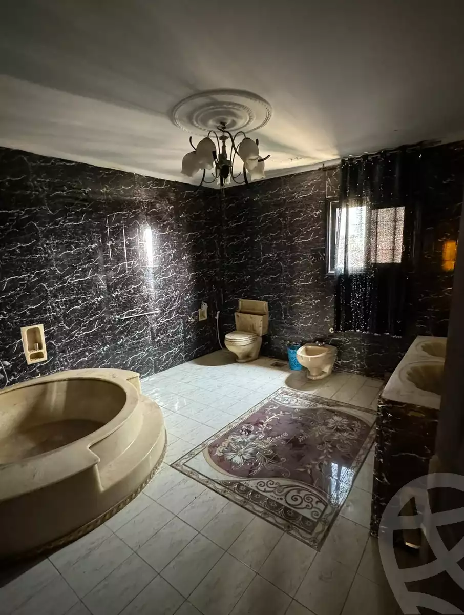 https://aqarmap.com.eg/en/listing/5868143-for-rent-cairo-dokki-mohey-el-din-abo-el-ezz