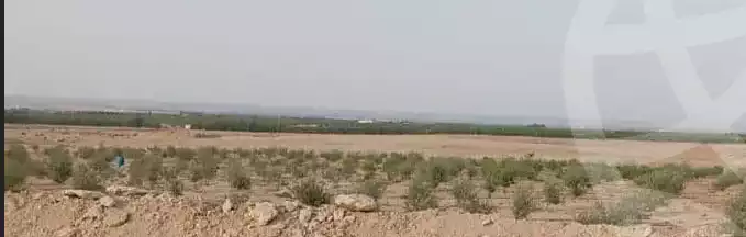 https://aqarmap.com.eg/en/listing/5869828-for-sale-beheira-wadi-el-natrun