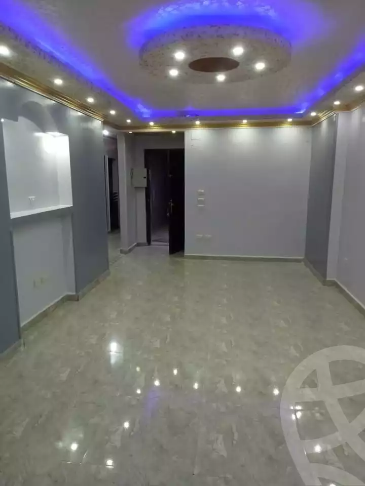 https://aqarmap.com.eg/en/listing/5874445-for-rent-cairo-faisal