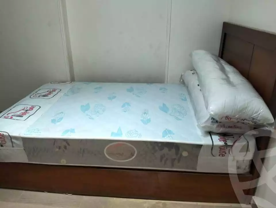 https://aqarmap.com.eg/en/listing/5874701-for-rent-cairo-ljyz