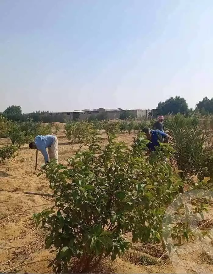 https://aqarmap.com.eg/en/listing/5874798-for-sale-ismailia-ismailia-city