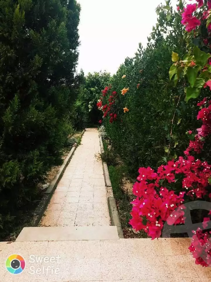 https://aqarmap.com.eg/ar/listing/5874910-for-sale-ismailia-ismailia-city