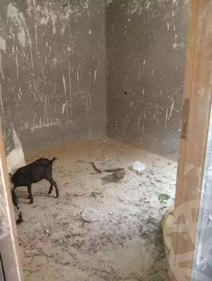 https://aqarmap.com.eg/ar/listing/5878388-for-sale-cairo-el-haram-shareaa-el-talateny