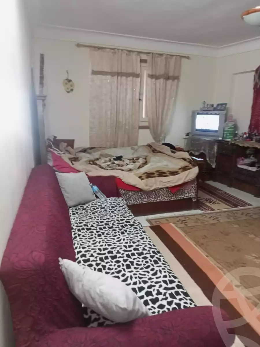 https://aqarmap.com.eg/ar/listing/5878433-for-sale-alexandria-l-jmy-el-hanouvel-emtedad-fatma-al-zahraa-st