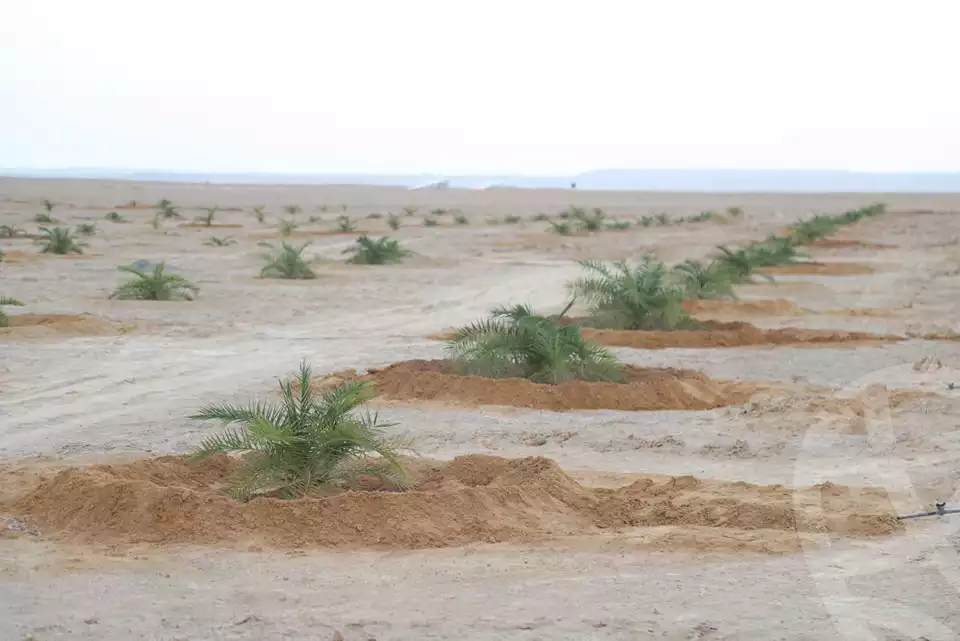 https://aqarmap.com.eg/ar/listing/5879410-for-sale-marsa-matruh-siwa-oasis-wahet-siwaa-city
