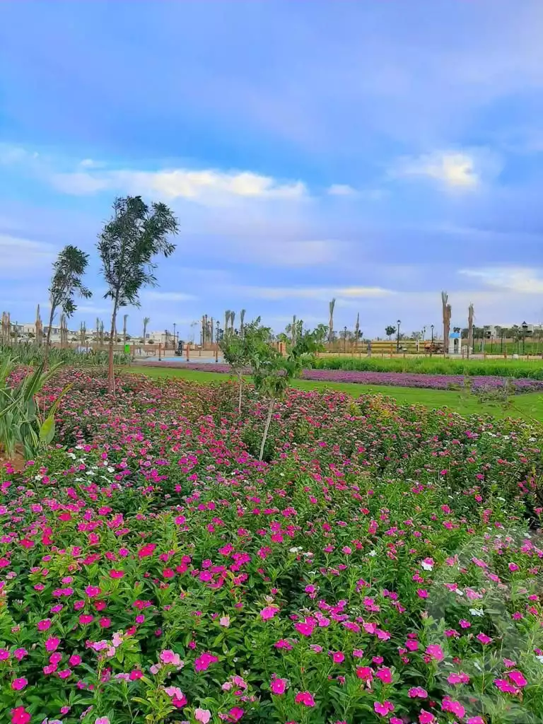 https://aqarmap.com.eg/en/listing/5879703-for-sale-cairo-new-cairo-compounds-hyde-park-greens-hyde-park-compound