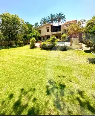 https://aqarmap.com.eg/en/listing/5881534-for-sale-alexandria-el-amreya