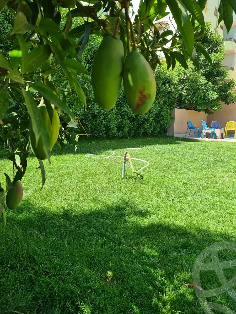 https://aqarmap.com.eg/en/listing/5881704-for-rent-cairo-new-cairo-el-ahyaa-fourth-neighborhood-street-5