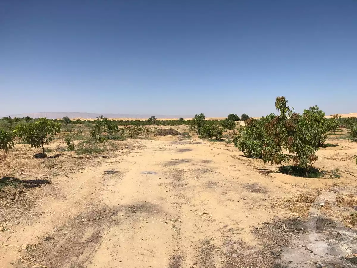 https://aqarmap.com.eg/en/listing/5886440-for-sale-suez-el-ganain-shandoura-village