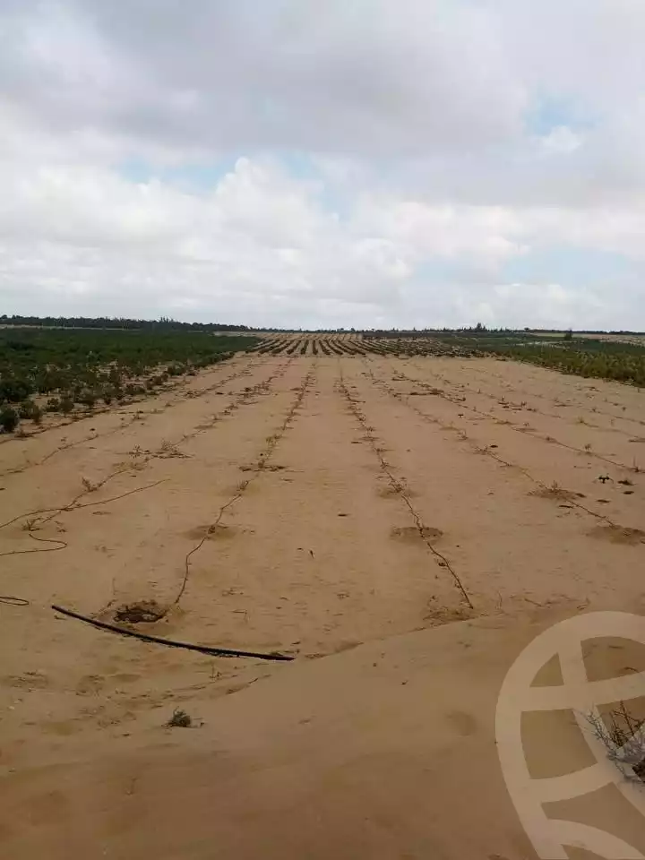 https://aqarmap.com.eg/en/listing/5886721-for-sale-ismailia-new-ismailia