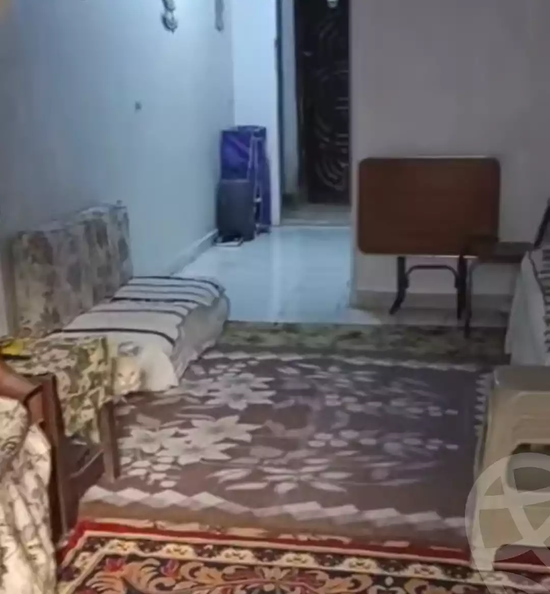 https://aqarmap.com.eg/en/listing/5888761-for-sale-alexandria-l-jmy-el-hanouvel-el-hag-radwan-mosque-st