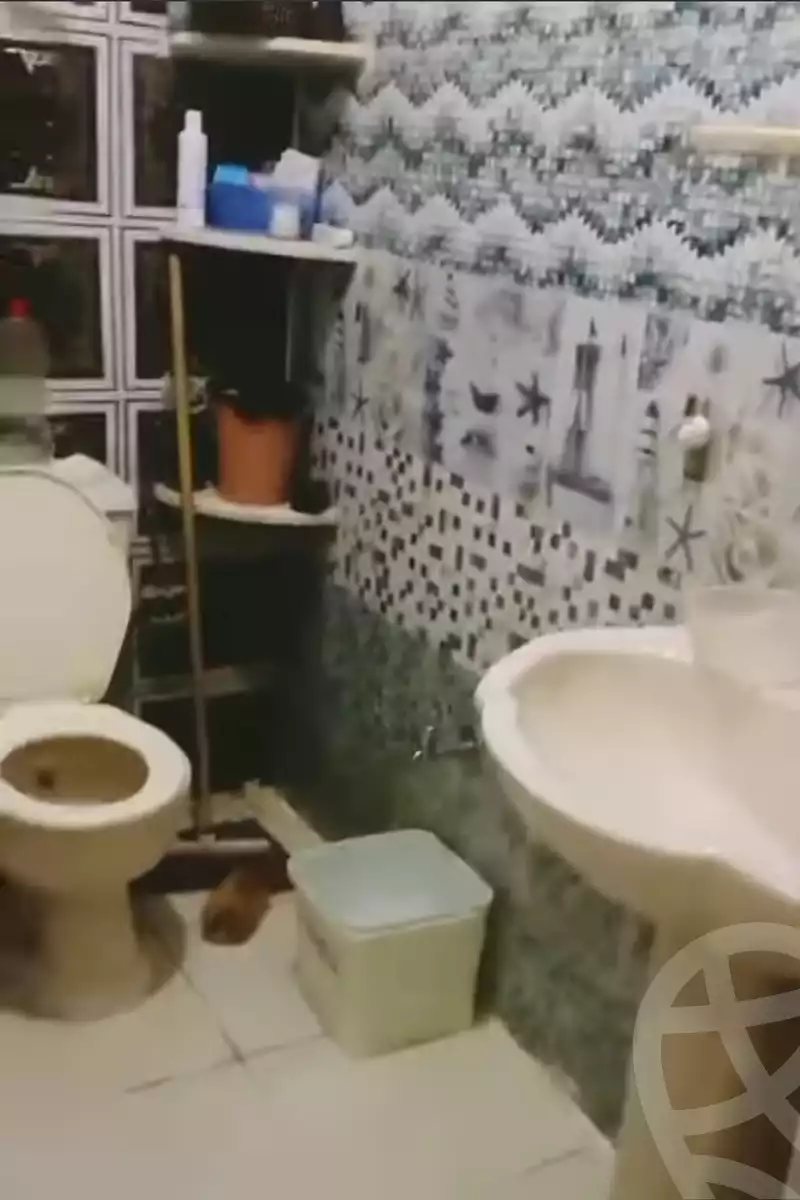 https://aqarmap.com.eg/en/listing/5894363-for-sale-sharqia-faqous