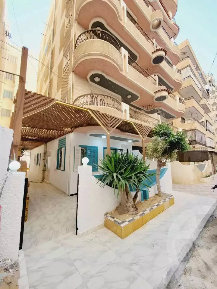 https://aqarmap.com.eg/en/listing/5894785-for-sale-alexandria-l-jmy-shataa-el-nakheel