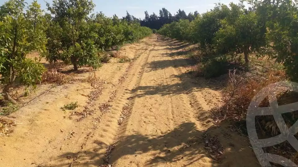 https://aqarmap.com.eg/en/listing/5895385-for-sale-beheira-wadi-el-natrun
