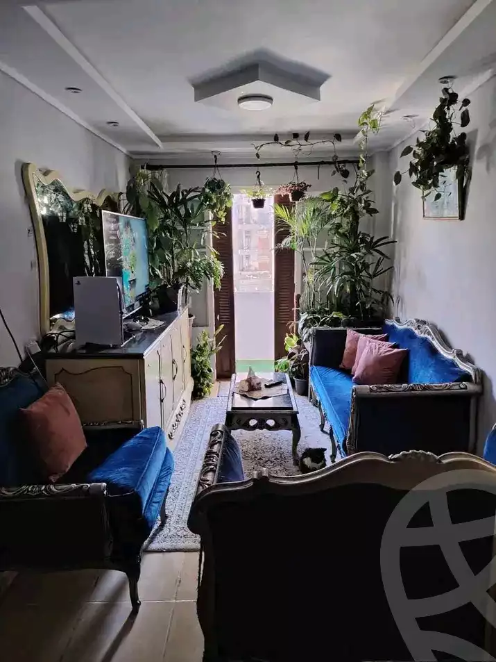 https://aqarmap.com.eg/en/listing/5895582-for-sale-alexandria-sydy-bshr-sydy-bshr-qbly-shr-ql-bsh