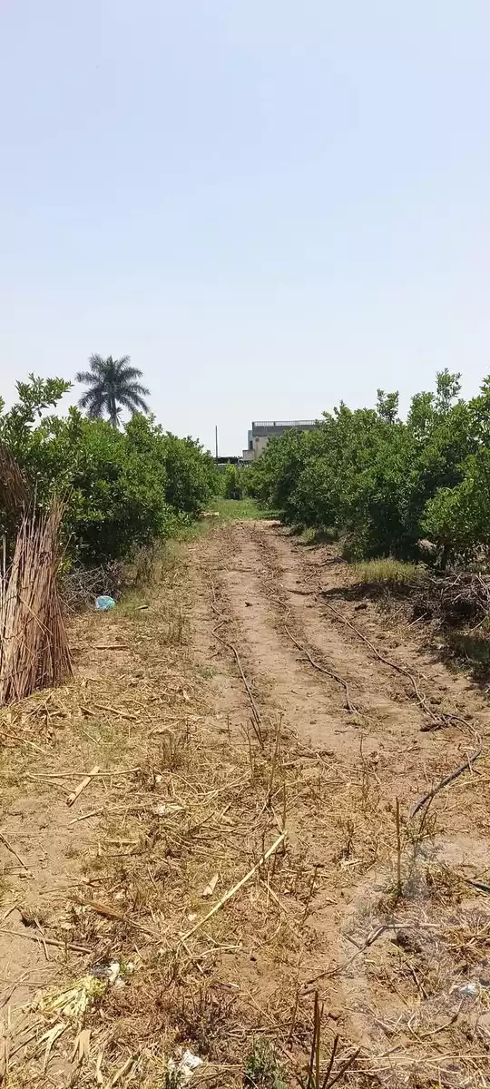 https://aqarmap.com.eg/en/listing/5896441-for-sale-sharqia-abu-hamad