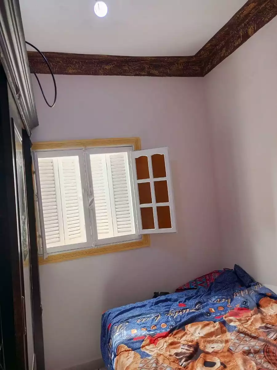https://aqarmap.com.eg/en/listing/5897066-for-sale-alexandria-bahray-el-anfoshy