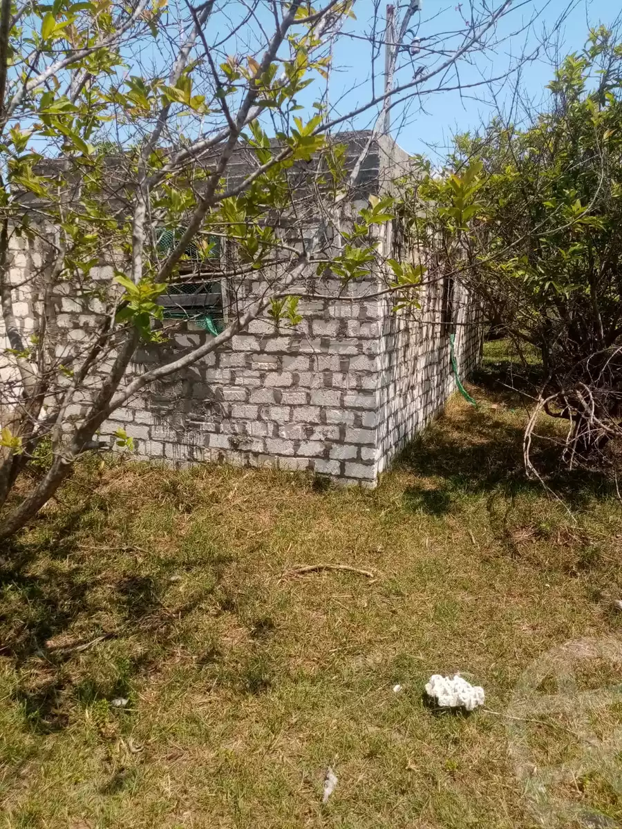 https://aqarmap.com.eg/en/listing/5903432-for-sale-kafr-el-sheikh-burullus-baltim-el-borg-way