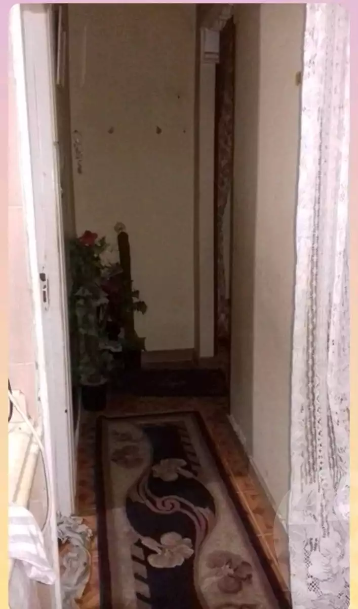 https://aqarmap.com.eg/en/listing/5903691-for-sale-alexandria-l-jmy-el-kilo-21