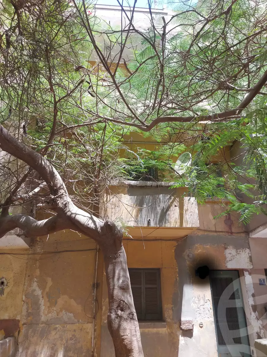 https://aqarmap.com.eg/en/listing/5905892-for-sale-cairo-helwan-mnshy-yn-hlwn-rael-st