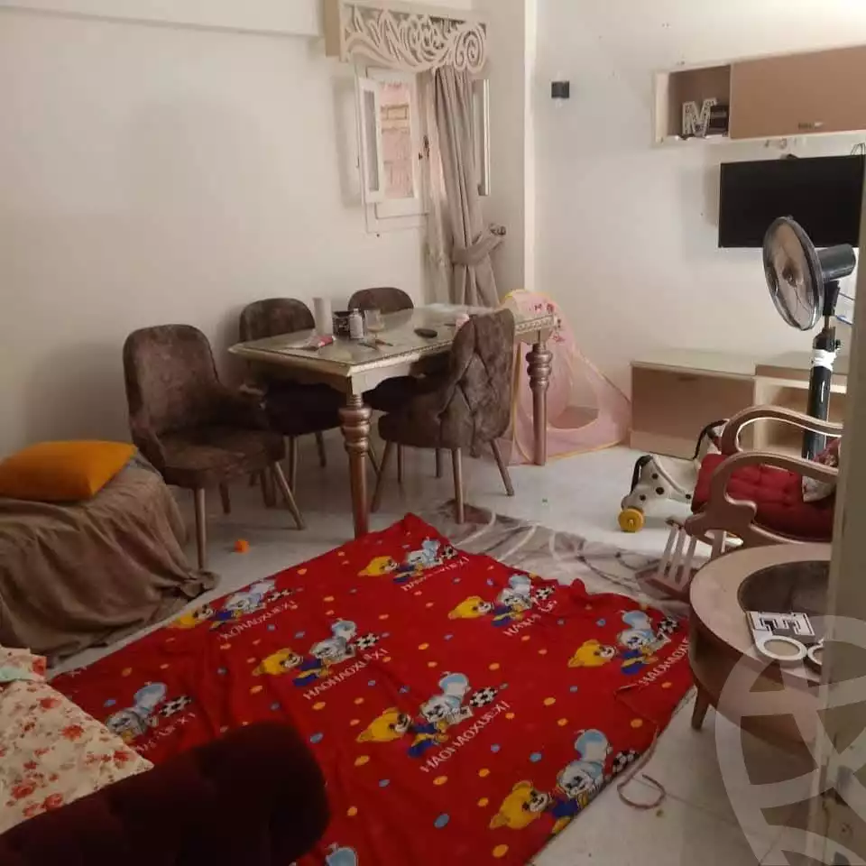 https://aqarmap.com.eg/en/listing/5913050-for-sale-alexandria-l-jmy-lbytsh-el-hay-st