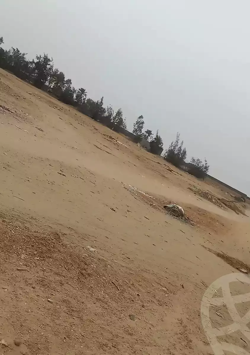 https://aqarmap.com.eg/en/listing/5917943-for-sale-sharqia-bilbeis