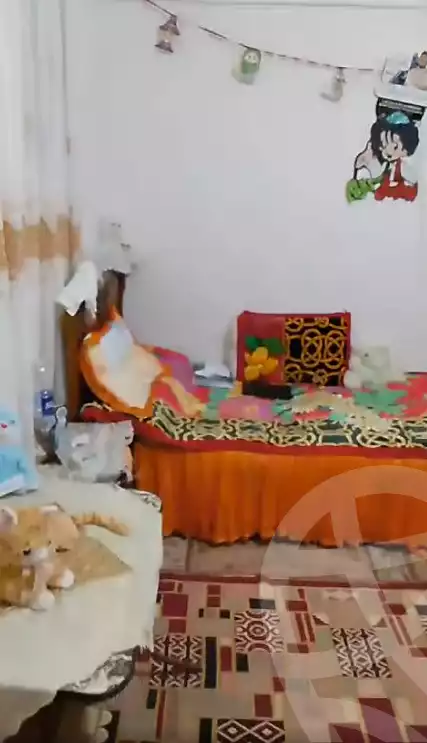 https://aqarmap.com.eg/en/listing/5923369-for-sale-alexandria-l-jmy-el-hanouvel