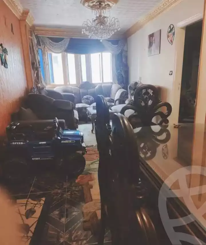 https://aqarmap.com.eg/en/listing/5925565-for-sale-alexandria-l-jmy-lbytsh-sabrin-st
