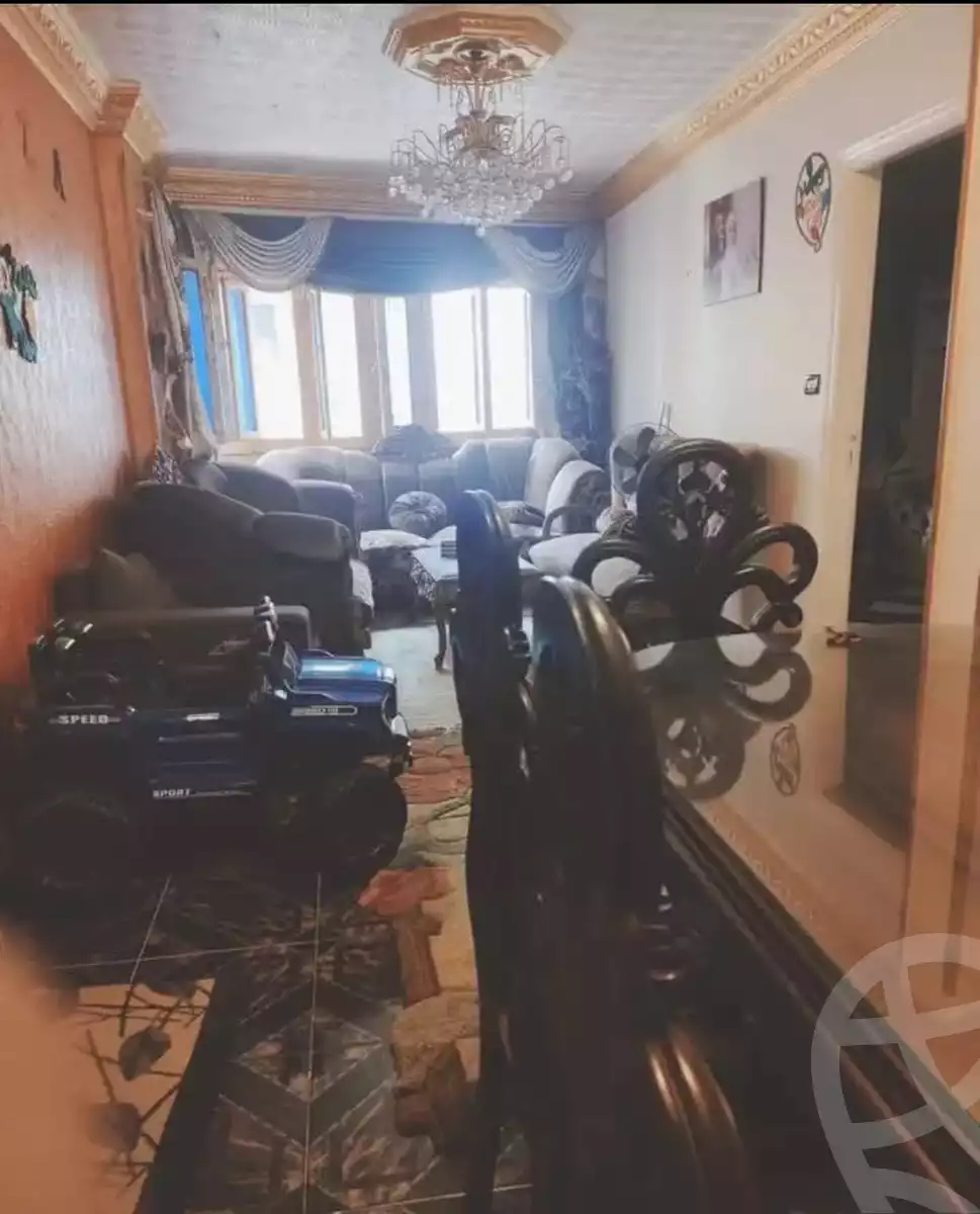 https://aqarmap.com.eg/en/listing/5925585-for-sale-alexandria-l-jmy-lbytsh-sabrin-st