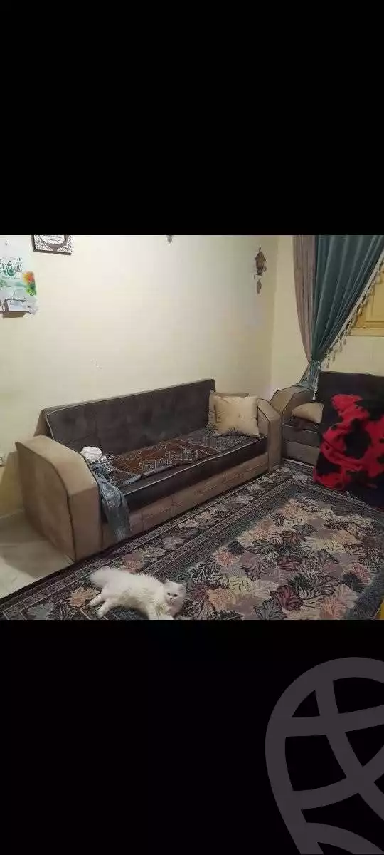 https://aqarmap.com.eg/en/listing/5925623-for-sale-alexandria-l-jmy-bw-ywsf