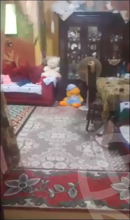 https://aqarmap.com.eg/en/listing/5926034-for-sale-cairo-imbaba-ard-el-gameaya