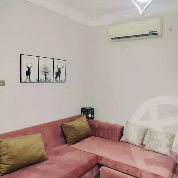 https://aqarmap.com.eg/en/listing/5926593-for-rent-cairo-el-agouza-shaheen-st