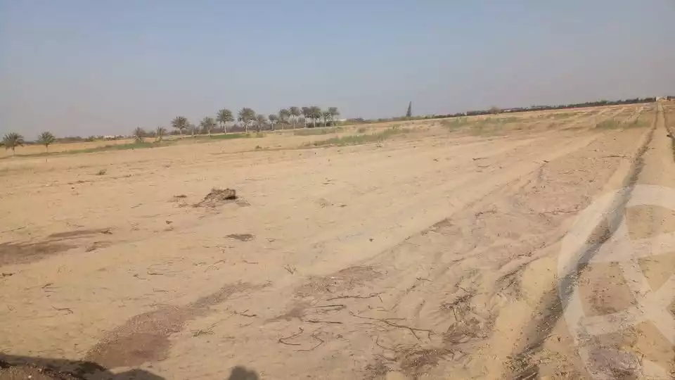 https://aqarmap.com.eg/en/listing/5926755-for-sale-beheira-wadi-el-natrun