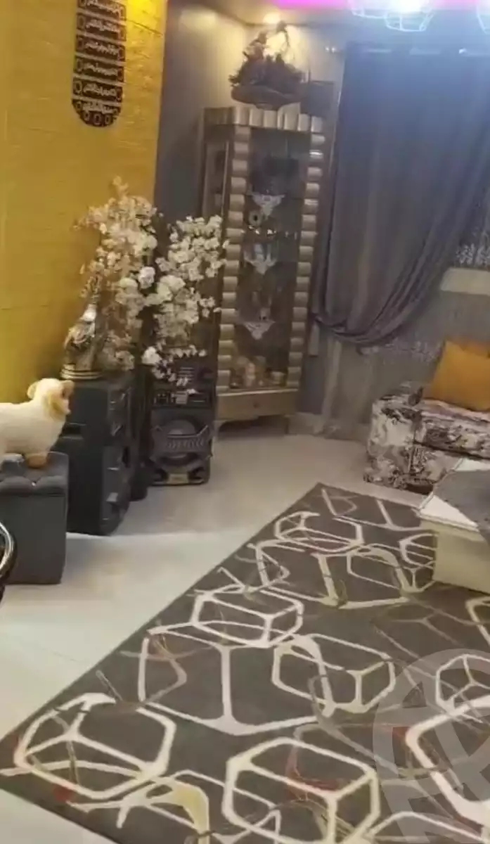 https://aqarmap.com.eg/en/listing/5929726-for-rent-cairo-faisal-el-matbeaa-amr-ibn-al-aas-st