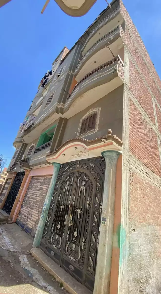 https://aqarmap.com.eg/en/listing/5929797-for-sale-dakahlia-dekernes-dikirnis-city