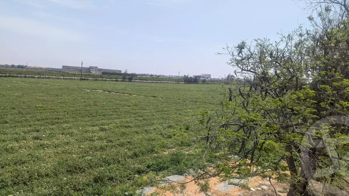 https://aqarmap.com.eg/ar/listing/5931716-for-sale-beheira