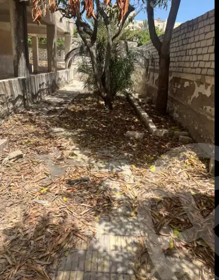https://aqarmap.com.eg/en/listing/5932935-for-sale-alexandria-l-jmy-bw-ywsf