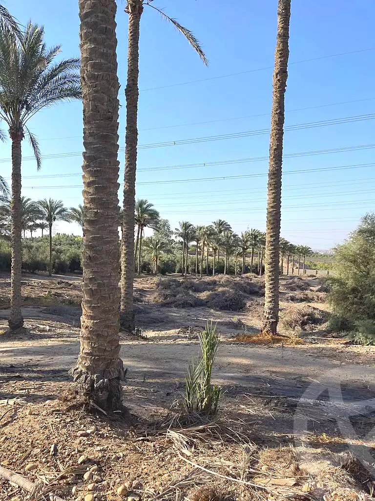 https://aqarmap.com.eg/en/listing/5936437-for-sale-cairo-ljyz