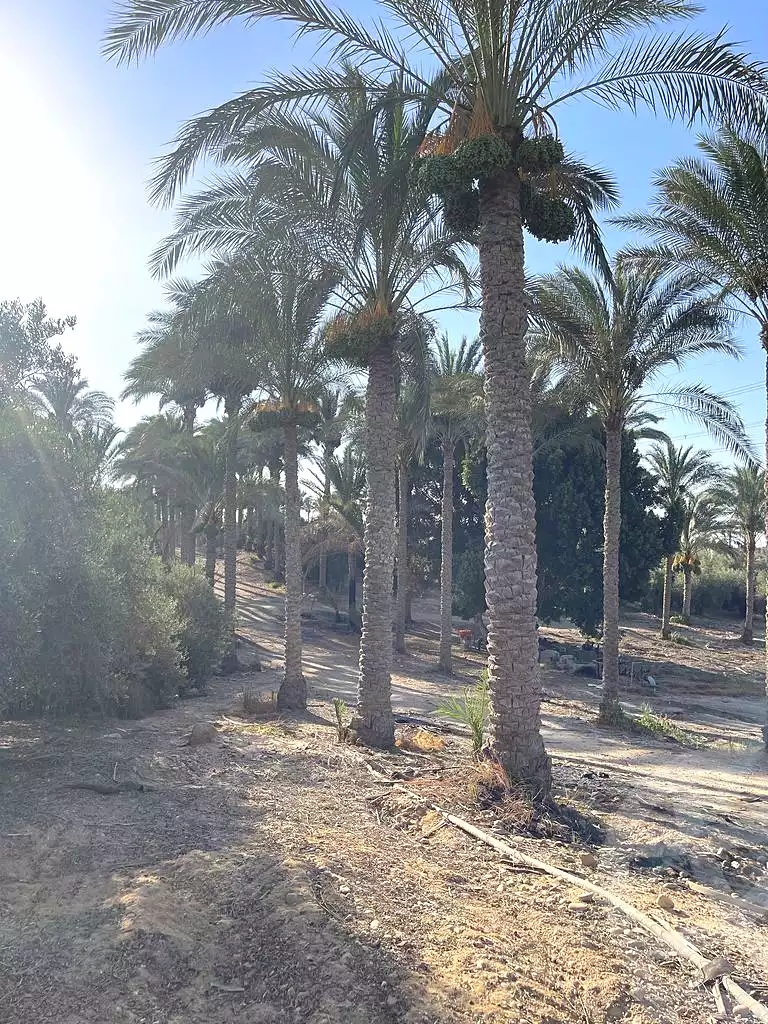 https://aqarmap.com.eg/en/listing/5936437-for-sale-cairo-ljyz