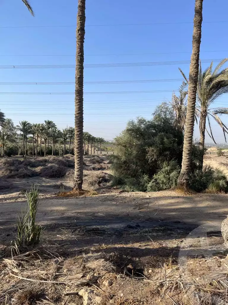 https://aqarmap.com.eg/ar/listing/5936448-for-sale-cairo-ljyz