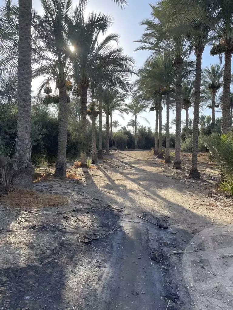https://aqarmap.com.eg/ar/listing/5936448-for-sale-cairo-ljyz